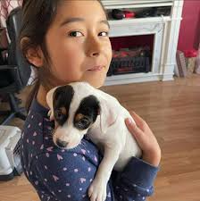 Baby Neil says Merry Christmas and Happy Holidays!!