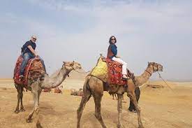 All tours include complimentary hotel transfers. 7 Night Egypt Explorer Tour With Nile Cruise 2021 Cairo