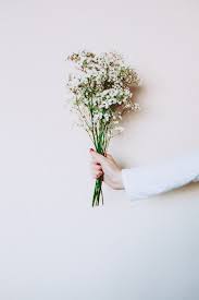 Photo of Woman's Hand Holding Out White Flowers In Front of White  Background · Free Stock Photo