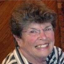 S. Sue Ferguson Obituary (2024)