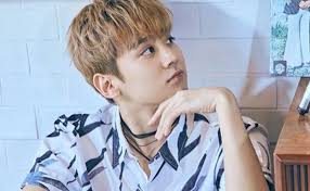 Vic was a former star athlete whose body was damaged in an accident and replaced with groundbreaking new technology by his scientist father. Chunji Teen Top Members Profile Vote