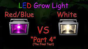 All blue led grow light. White Led Vs Red Blue Led Grow Light Grow Test Part 2 The Grow Results 2016 Youtube