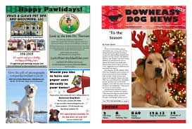 Feline leukemia tests are recommended. 2020 December Downeast Dog News By Jennifer Rich Wendi Smith Ross Cunningham Issuu