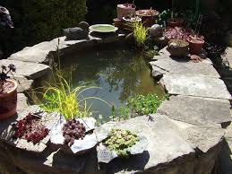 It's not so loud that you hear it immediately, but once you notice. Pond Pump Problems Bbc Gardeners World Magazine