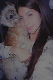 Lost Dog Reunited in Seagoville