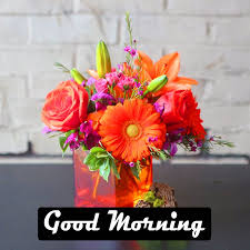 Per noi è di grande importanza che tutte le immagini siano chiaramente organizzate nelle diverse categorie. Sfondi Per Whatsapp Dp Fiore Mazzo Disposizione Dei Fiori Floristica Tagliare I Fiori Arancia Disegno Floreale Pianta Vaso Di Fiori Gerbera 1280402 Wallpaperkiss