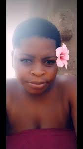 Bassets up for rehome in Platteville, Wisconsin