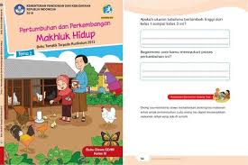 Berikut ini soal dan kunci jawaban tema 1 kelas 5 sd subtema 1 halaman. Kunci Jawaban Tema 1 Kelas 3 Sd Mi Halaman 36 Pertumbuhan Tinggi Dari Kelas 1 Sampai 3 Dan Cara Mensyukurinya Portal Jember