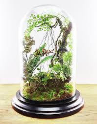 Artificial Plants Forest Terrarium Cabinet Of Curiosities Dome Bell Glass Birthday Gift Wedding Garden Decor Artificial Plants Plants Glass Garden