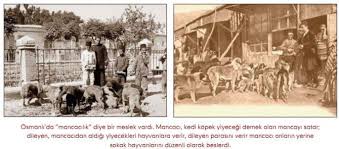 Osmanli Da Halk Sokak Hayvanlarini Beslemesi Icin Mancaci Denilen Kisilere Para Verirdi Onlar Da Duzenli Olarak Hayvanlari Beslerdi Osmanlidevleti Sokak