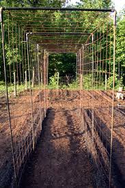Inspect the boards carefully before buying to ensure they are straight. Vegetable Garden Design Diy Bean Trellis Gardenista