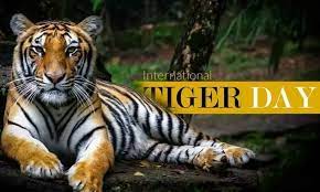 Interesting facts, theme, history & significance. International Tiger Day July 29 2021 Happy Days 365