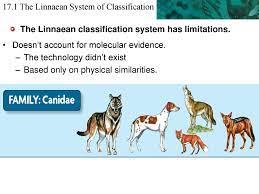 17 1 The Linnaean System Of Classification Ppt Download