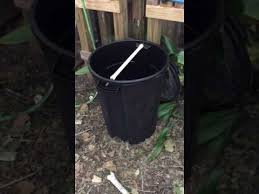 Diy Preppers And Homesteaders Mouse Trap Rolling Log Youtube Rat Trap Diy Rat Traps Mouse Traps