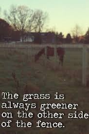The Grass Is Always Greener On The Other Side Of The Fence Proverb Meaning The Grass Is Always Greener On The Other Side Of The Fence Comparison Quotes Horse Quotes The Other Side