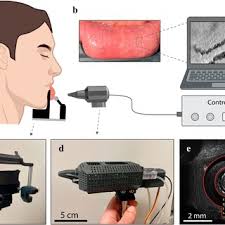 Portrait of Joseph Brant ultimately based upon a painting by Gilbert...