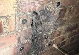 Call now for more information. How To Get Rid Of Roof Rats And Prevent Them Diy Pest Control