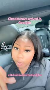 Called WHAT!!!??? lol #cicadas #Georgia #sheknowshewrong #funnyvideo  #foryoupageシ
