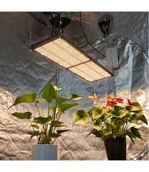 Optimal grow space is 2'x4′ or 3′x3′. 3000k V3 Lm301h 288pcs X 2 Boards 240w Led Grow Lights