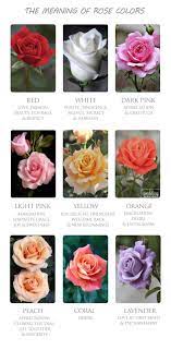 The Flower Color Meanings For Wedding Bouquet Wedding Forward Wedding Bouquets Wedding Flowers Light Pink Wedding