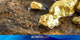 Definisi/arti kata 'organik' di kamus besar bahasa indonesia (kbbi) adalah a kim 1 berkaitan dg zat yang berasal dari makhluk hidup (hewan atau tumbuhan, sepert Rahasia Alam Semesta Dari Mana Asal Emas Yang Ada Di Bumi