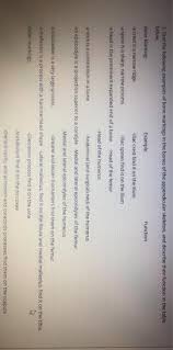 When a medial malleolus fracture occurs by itself, it's called. Solved 3 Find The Following Examples Of Bone Markings In Chegg Com