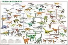 Dinosaur Species Evolution Poster 61x91cm Educational Wall Chart New Licensed Dinosaur Posters Science Chart Dinosaur Pictures