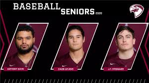 Falcon Baseball Notebook: 2020 Senior Salute