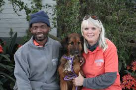 Verlore hond in Swartbergpas gered