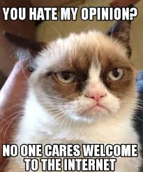 Image result for welcome to the internet meme