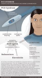 Eine der häufigsten ursachen für unfruchtbarkeit bei frauen ist die hormonerkrankung polyzystisches ovarialsyndrom (pcos). Pco Syndrom Video Experte Prof Dr Med Herrmann