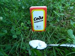 смотреть тайная жизнь домашних животных 2 в хорошем качестве Prosto Soda Nezamenimyj Pomoshnik V Ogorode Sadovye Vrediteli Organicheskoe Sadovodstvo Ogorod