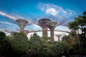 The international organization for public private cooperation. Shi8t6qr4jxjum