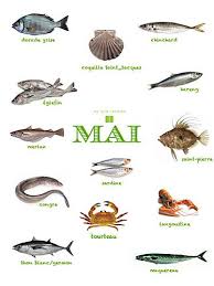 Produits De Saison Les Poissons Du Mois De Mai Fish May Produits De Saison Poisson Recettes Poissons Et Fruits De Mer