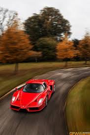 Ferrari Enzo Goes For An Autumn Drive Chrysler Sports Car Sports Cars Ferrari Sports Car Brands