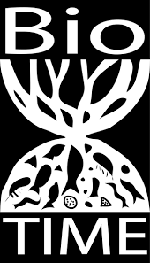 Image result for Equilabium parvum