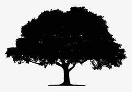 Our tree silhouettes clipart includes 27 png files with transparent backgrounds, 27 jpg files with white backgrounds and 1 adobe illustrator vector file. Clipart Tree Silhouette Vector Png Transparent Png Transparent Png Image Pngitem