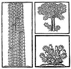 Vælg mellem et stort udvalg af lignende scener. Http Www Fao Org 3 I7012en I7012en Pdf