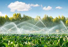 En La Agricultura Los Sistemas De Riego Son Utilizados Para Un Aprovechamiento Optimo Del Agua Servicio De Informacion Agroalimentaria Y Pesquera Gobierno Gob Mx