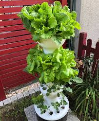 Check spelling or type a new query. Hydroponic Conclusion Hydroponics Self Supporting Balcony 2019