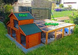 Hasen und kaninchen sind haustiere, die gut im garten, in einem passenden stall gehalten werden können. Aussenhaltung