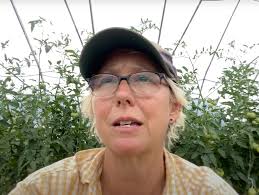 Video: We Love What We Do