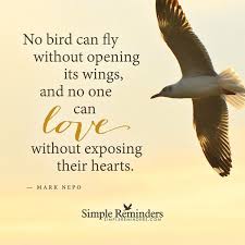 Mcgill Media On Twitter Love Birds Quotes Open Your Heart Quote Simple Reminders Quotes