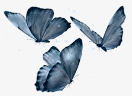 See more ideas about sims 4 cas background, sims 4 cas, sims 4. Pink Aesthetic Butterfly Png Transparent Png Kindpng