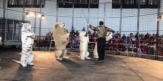 Circus, was an american traveling circus company billed as the greatest show on earth.it and its predecessor shows ran from 1871 to 2017. Petition Demand Jacksonville Fl Cancels Planned Garden Bros Circus Event