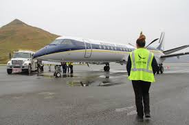 Image result for Natural Yellow 2000 Fleet