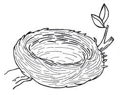 We eat certain types, like chickens and turkeys. Cartoon Birds Nest Bird Coloring Pages Coloring Pages Cartoon Birds