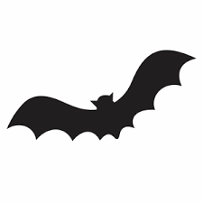 Download Hocus Pocus Bat Svg Hocus Pocus Halloween Cute Halloween Svg Cut File Download Jpg Png Svg Cdr Ai Pdf Eps Dxf Format