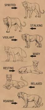 #my posts #cats #dogs #animals #cat people #dog people #pets. 380 Drawing Big Cats Ideas Animal Art Animal Drawings Cat Art