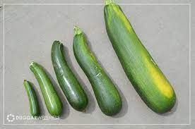 It's totally edible, but you can wash it off if you want to! The Prolific Zucchini Duggar Wellness